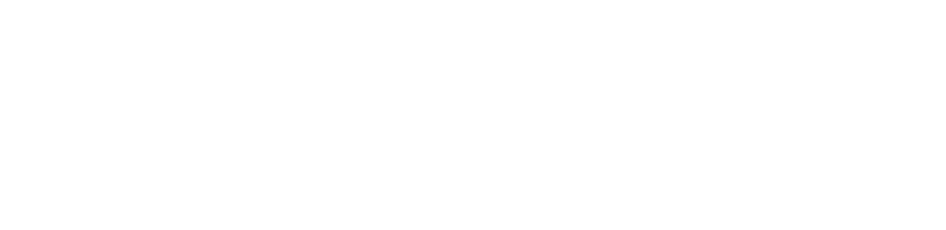 Bodenvy