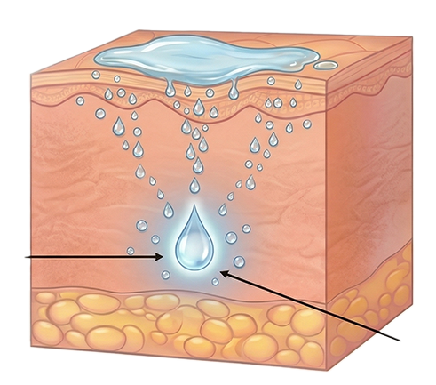 Surface biorevitalization