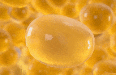 fatfreeze_mobile (1) (1)