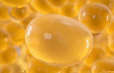 fatfreeze_mobile (1)
