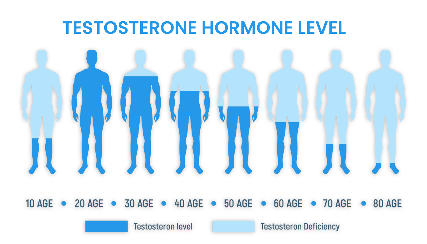 testosteron-2 testosteron-2